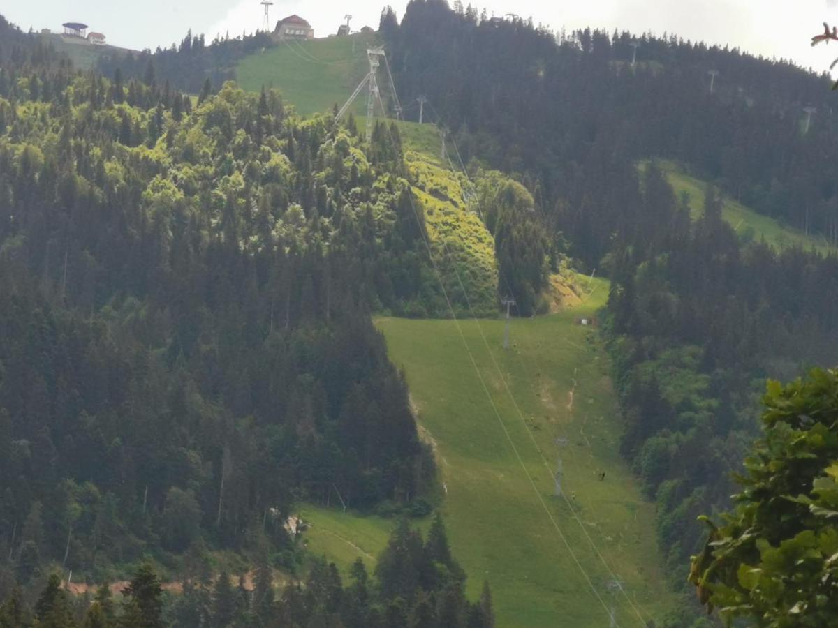 Pension Condor Poiana Brasov Esterno foto