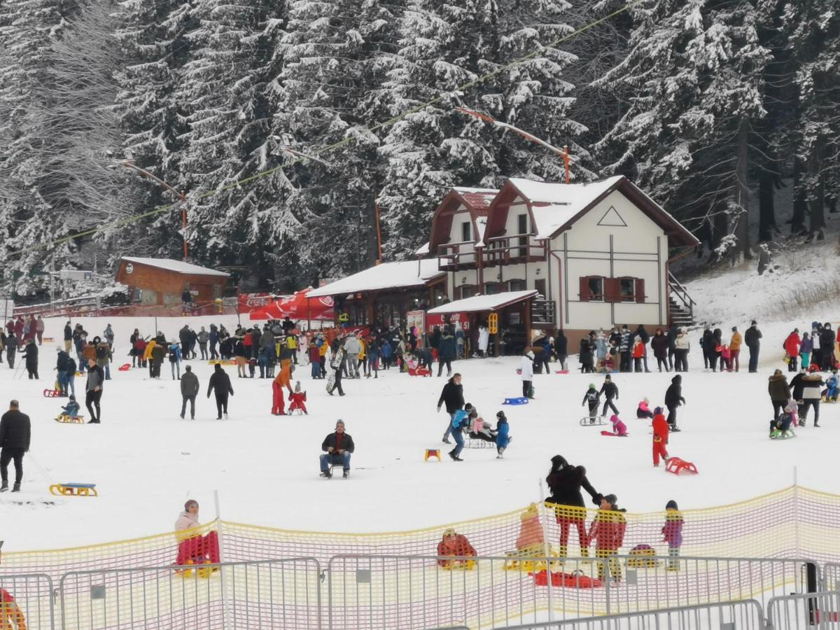 Pension Condor Poiana Brasov Esterno foto