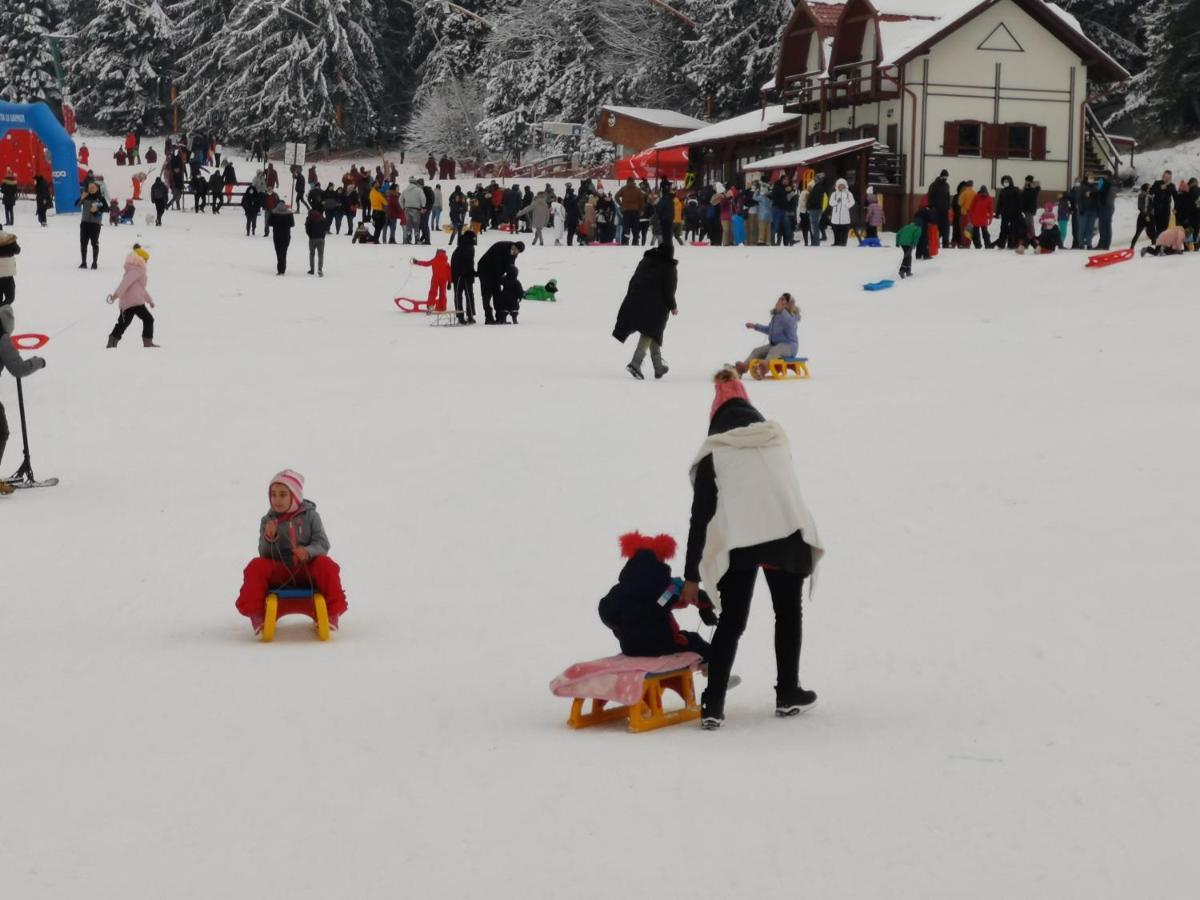 Pension Condor Poiana Brasov Esterno foto