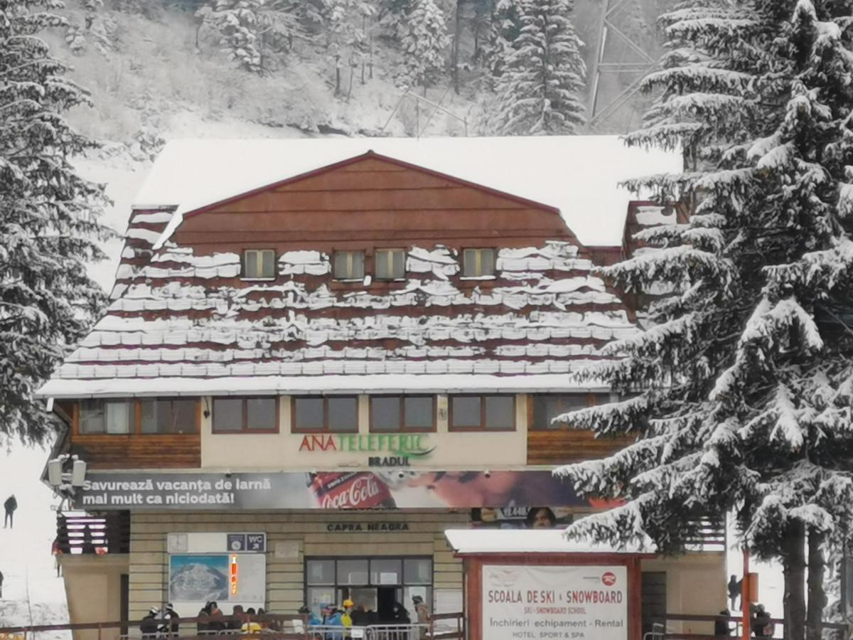 Pension Condor Poiana Brasov Esterno foto