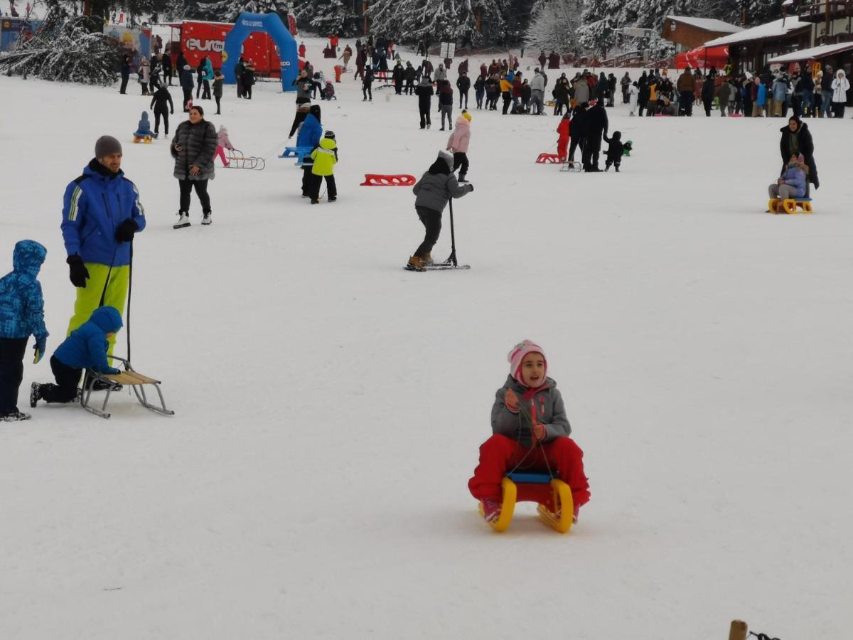 Pension Condor Poiana Brasov Esterno foto