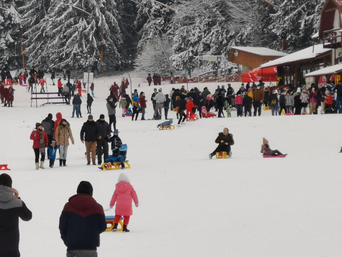 Pension Condor Poiana Brasov Esterno foto