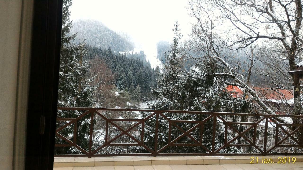 Pension Condor Poiana Brasov Esterno foto