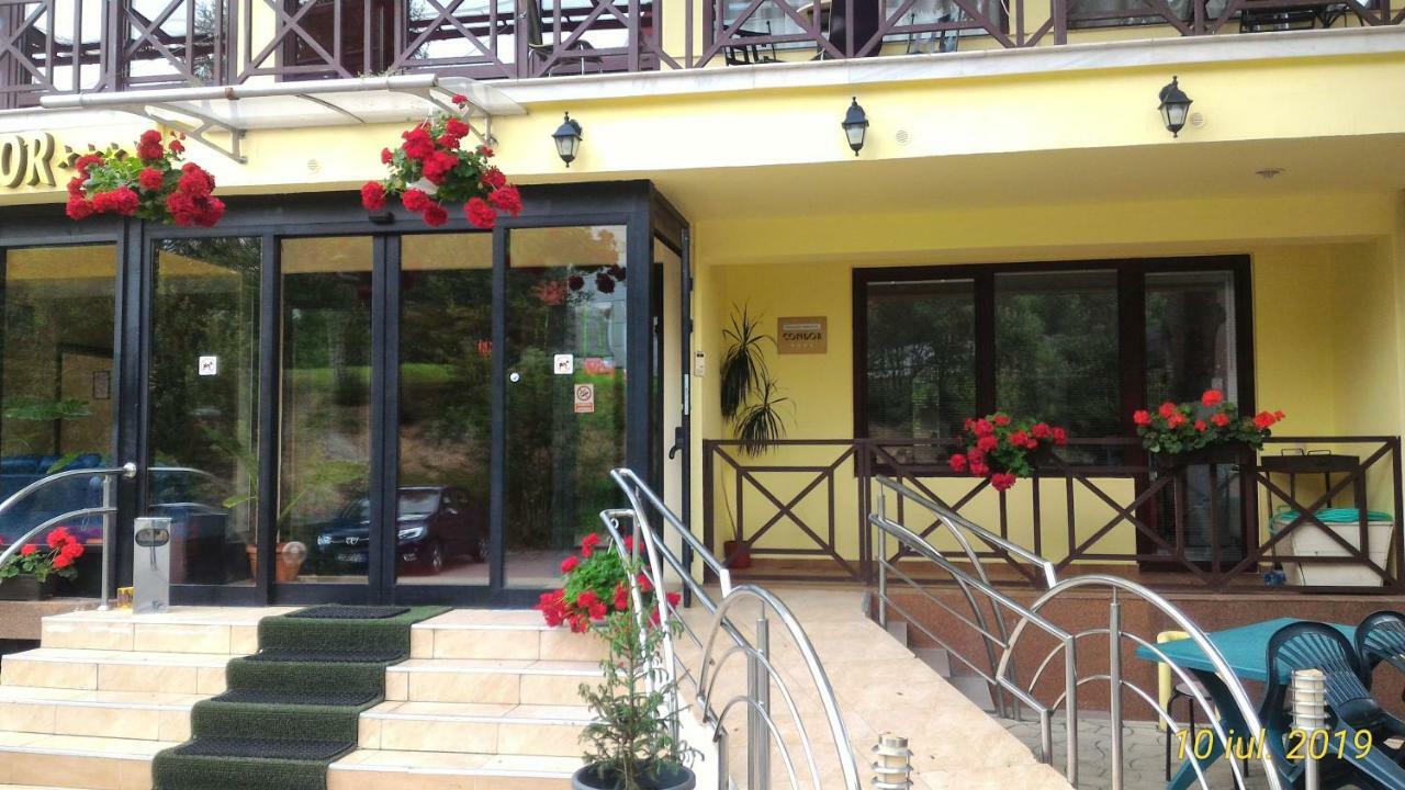 Pension Condor Poiana Brasov Esterno foto