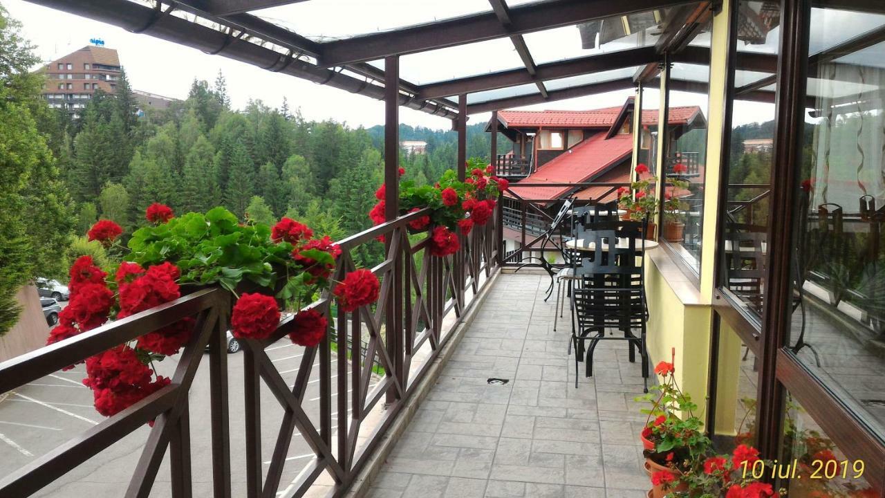 Pension Condor Poiana Brasov Esterno foto